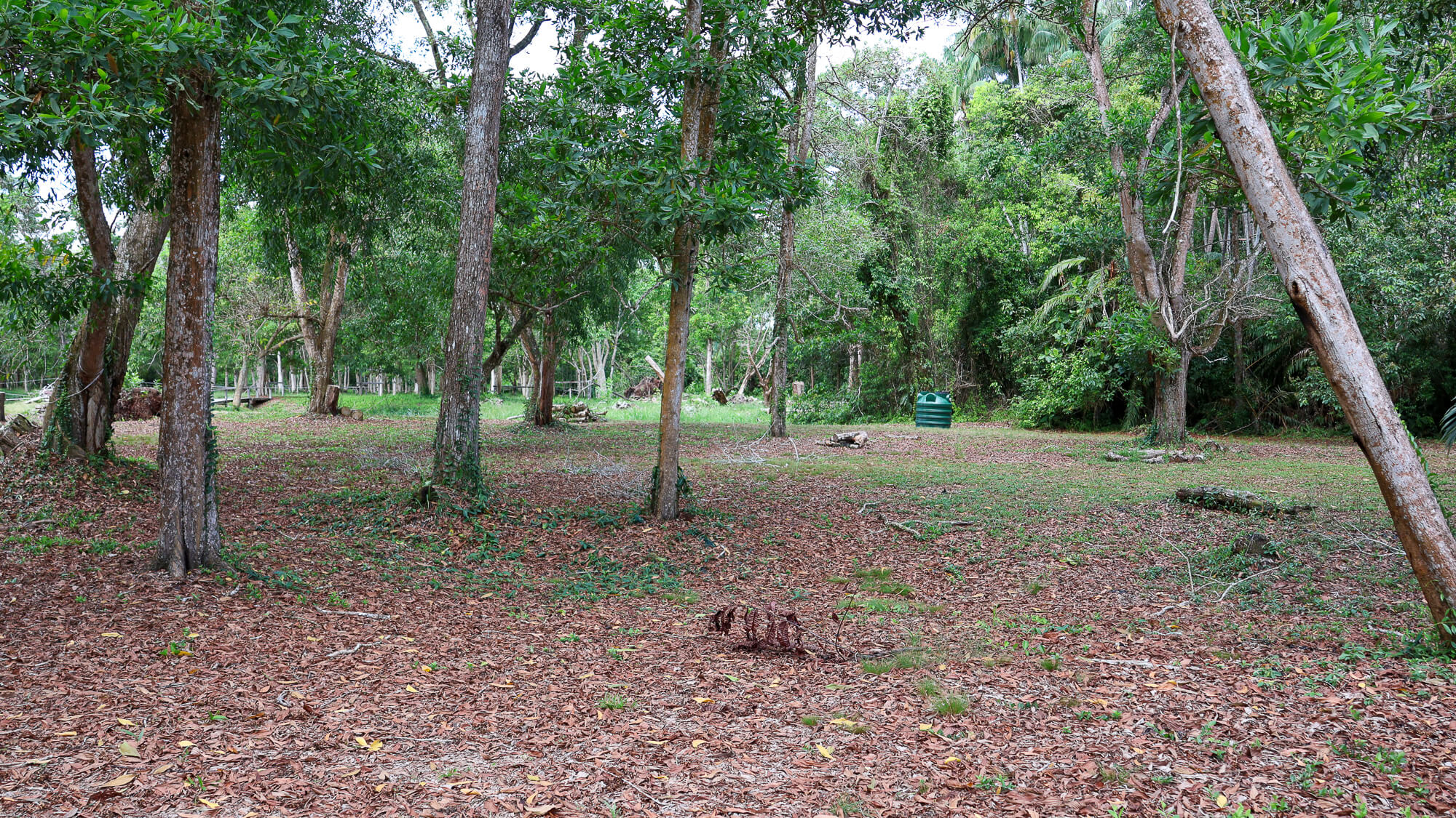 Campsite