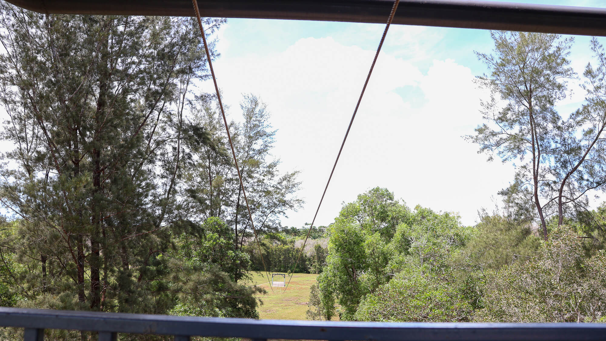 Flying Fox