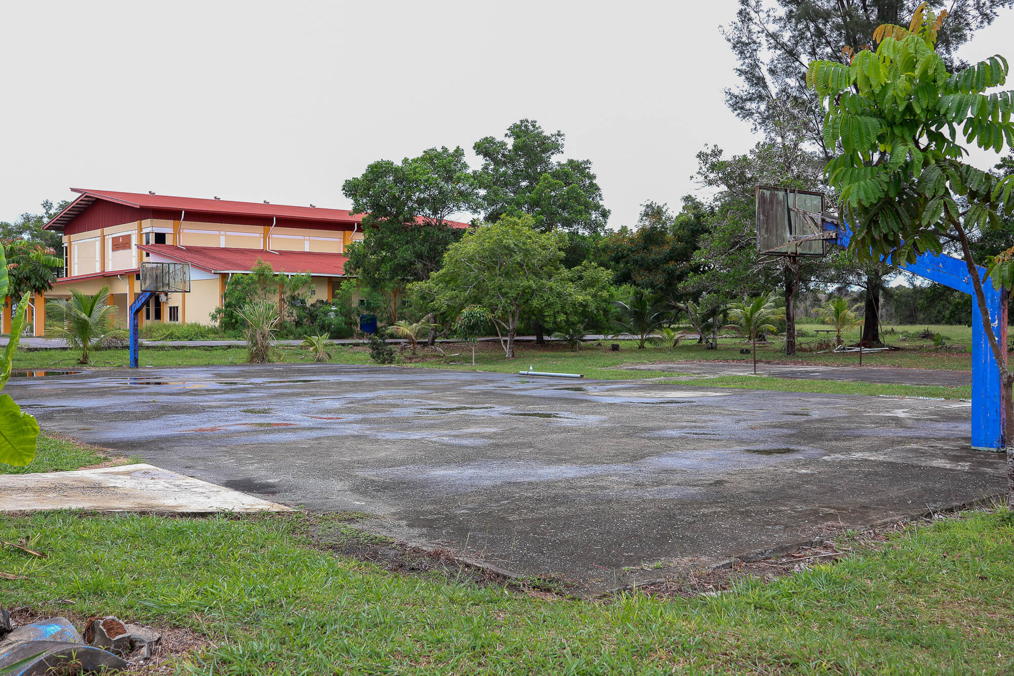 Basketball Court