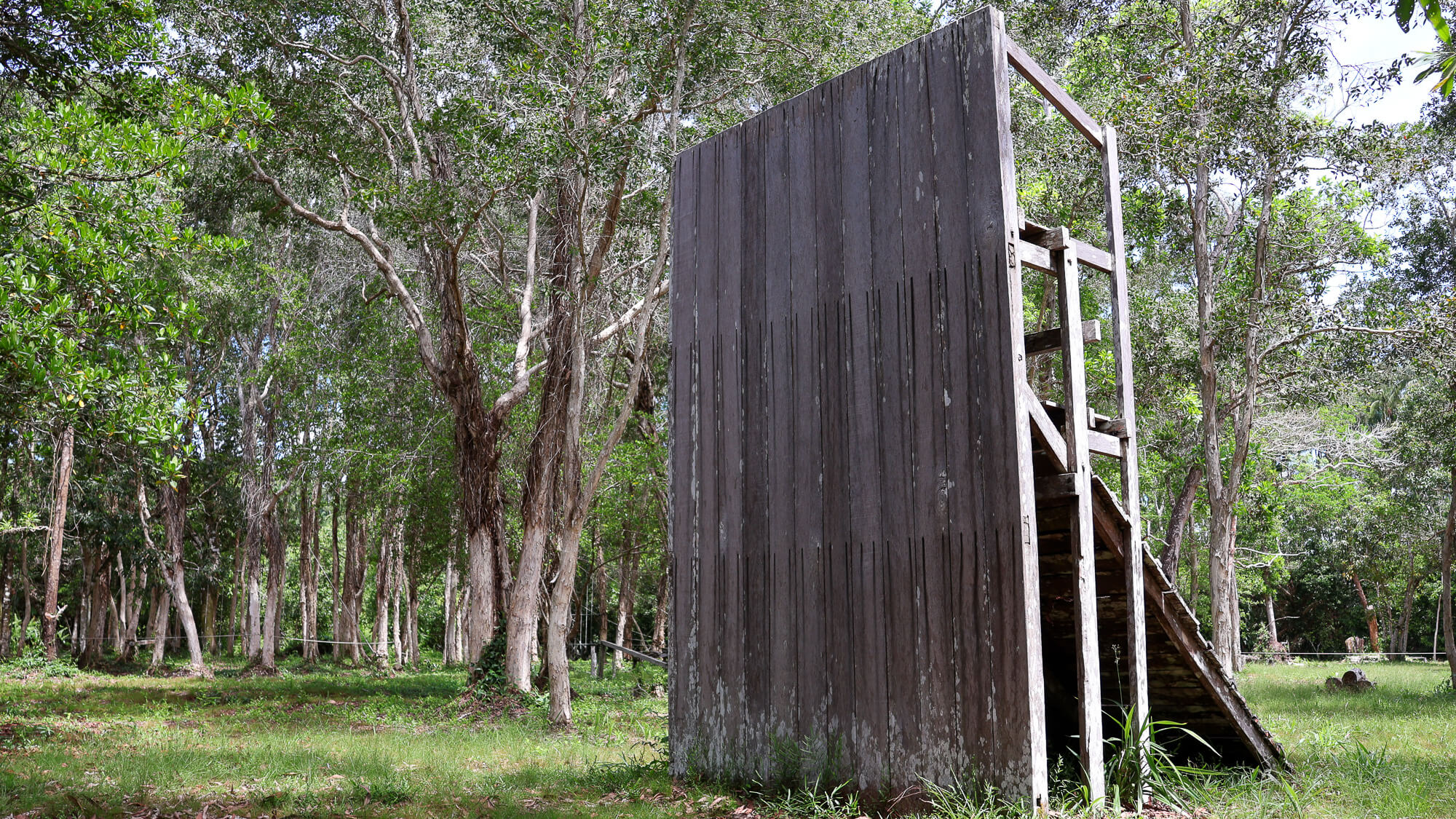 Wall